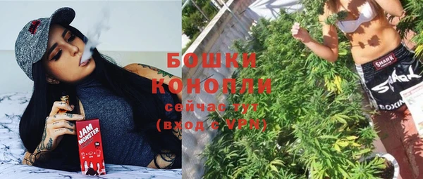 apvp Горнозаводск